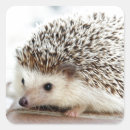 Search for tiny animal stickers Nature