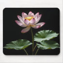 Search for lotus mouse mats Nature