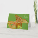 Search for fritillary cards Insect