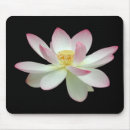 Search for purity electronics Beauty
