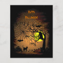 Search for owl flyers Pumpkin