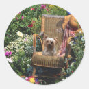 Search for yorkshire stickers Yorkies