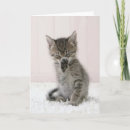 Search for lick cards Pet