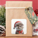 Search for cute otter stickers Adorable