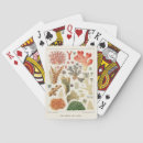 Search for aquatic playing cards Coral