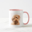 Search for goldendoodle puppy mugs Mix breed