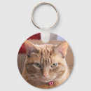 Search for fat cat key rings Cute