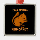 Search for funny squirrel christmas tree decorations Rodent