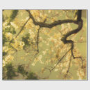 Search for cherry blossom branch wrapping paper Floral