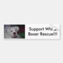 Search for boxer bumper stickers Puppies