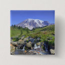 Search for np badges Scenic