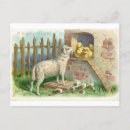 Search for vintage easter chicks postcards Farm