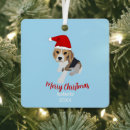 Search for beagle christmas tree decorations Xmas