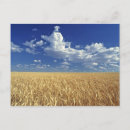 Search for colfax postcards Agriculture