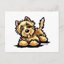 Search for wheaten terrier postcards Cairn