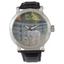 Search for donkey watches Mule