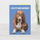 Search for basset hound birthday cards Cute