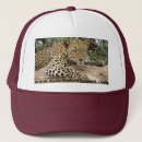 Search for safari animals hats Cat
