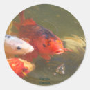 Search for koi fish stickers Nature