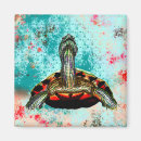 Search for abstract turtle Tortoise