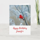 Search for cardinal photo cards Photograph