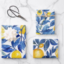 Search for azulejos gift wrap Pattern