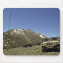 Search for three objects mouse mats Outdoors