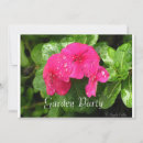 Search for miscellaneous photography Garden