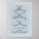 Search for eye doctors posters Glasses