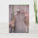 Search for giraffe mothers day postcards Mum