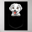 Search for pocket pet posters Dog