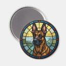 Search for glass magnets Dog