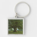 Search for courbet key rings France