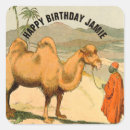 Search for camel desert stickers Asia