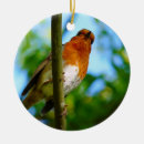 Search for robin bird christmas tree decorations Animals