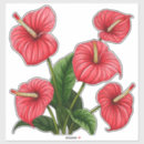 Search for anthurium stickers Flower