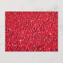 Search for cranberries postcards Cranberry
