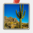 Search for cactus decor Botanical