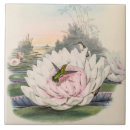 Search for lotus flower tiles Water