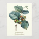 Search for fertile postcards Nature