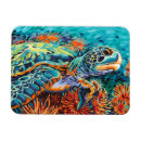Search for mariner magnets Coastal