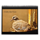Search for babies calendars Birds