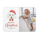 Search for maltese dog gifts Merry christmas