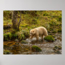 Search for black white bear posters Forest