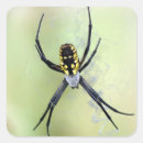 Search for arachnids stickers Halloween