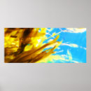 Search for blue seaweed posters Ocean