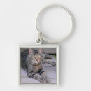 Search for shortness key rings Short hair