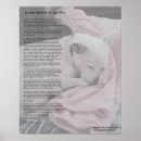 Search for rainbow bridge posters Dogs