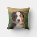 Search for australian shepherd cushions Cute
