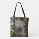 Search for british shorthair cushions Kitten